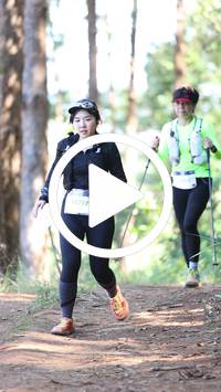 BIB:  <button type="button" onclick="openModal(26568965)" class="btn btn-primary btn-sm float-right" data-toggle="modal" data-target=".modal-high-quality">
                <i class="fa fa-download"></i> Download
                </button>